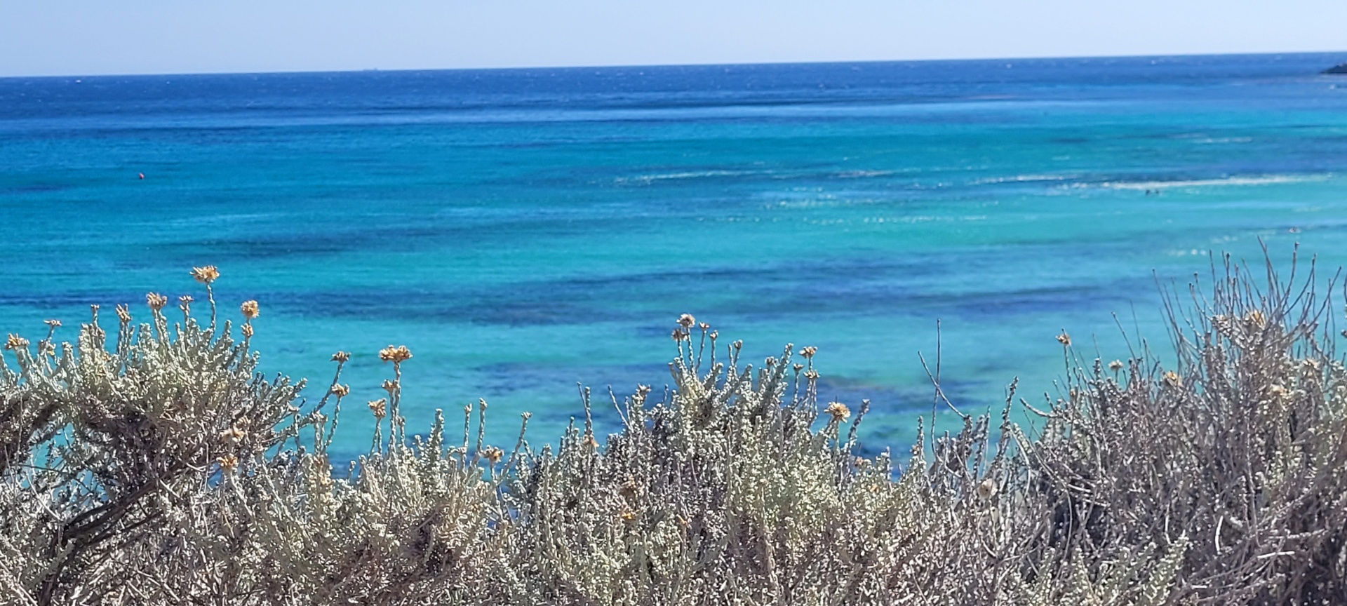 Sardinian coast